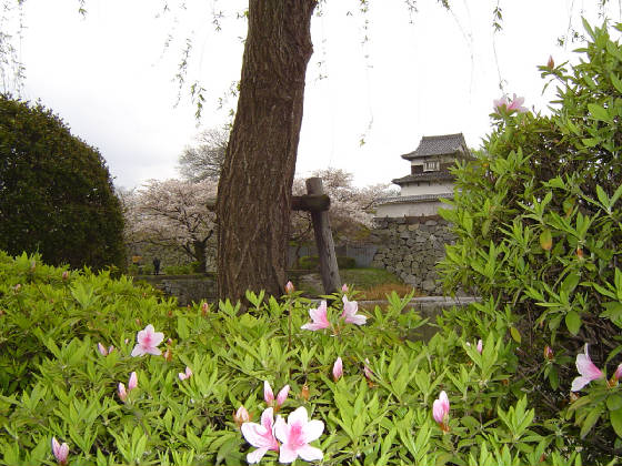 dsc00103.jpg