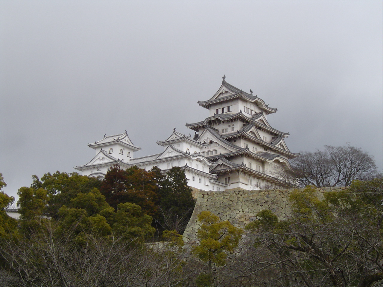 dsc00030.jpg